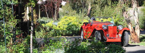 Wintarni Olives - Tourism Canberra 1