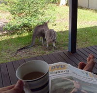 Bush and Bay Cottage - Tourism Canberra