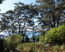 Booderee National Park: Bristol Point Camping Area - Tourism Canberra 1