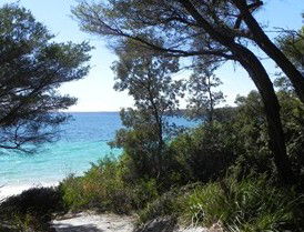 Booderee National Park: Bristol Point Camping Area - Tourism Canberra 2