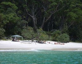 Booderee National Park: Bristol Point Camping Area - Tourism Canberra 3