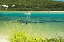 Wooli Camping and Caravan Park - Tourism Canberra