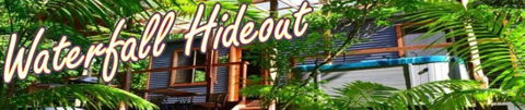 A Waterfall Hideout-Rainforest Cabin For Couples - Tourism Canberra 3