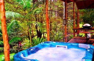 A Waterfall Hideout-Rainforest Cabin For Couples - Tourism Canberra 5