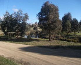 Delegate Caravan Park - Tourism Canberra 0