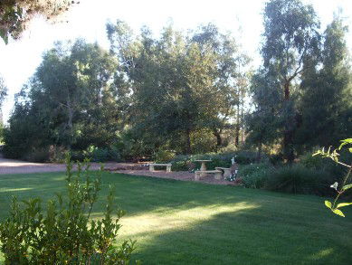 Wilga Park Cottage - Tourism Canberra 4