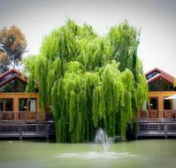 Perricoota Vines Retreat - Tourism Canberra