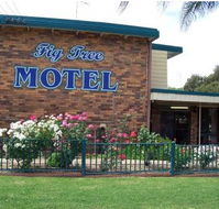 Fig Tree Motel - Tourism Canberra