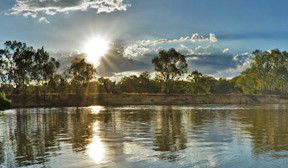 Club Motor Inn Narrandera - Tourism Canberra 3