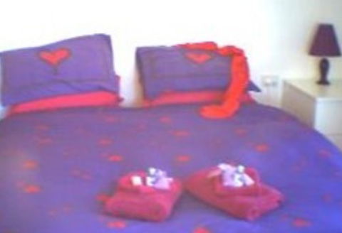 Aloomba Lavender - Accommodation - Tourism Canberra 0