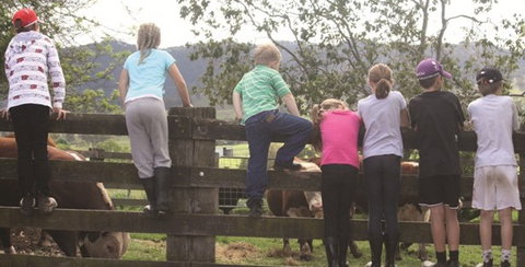 Ashmar Farm Stay - Tourism Canberra 4