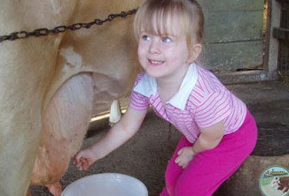 Ashmar Farm Stay - Tourism Canberra 5