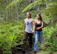 Blackheath Glen Tourist Park - Tourism Canberra