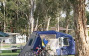 BIG4 Lake Macquarie - Monterey Tourist Park - Tourism Canberra 5