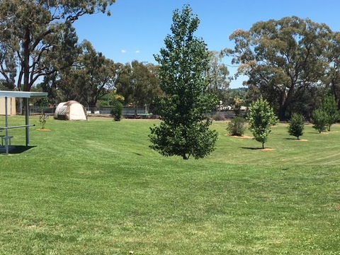 Canobolas Caravan Park - Tourism Canberra 3