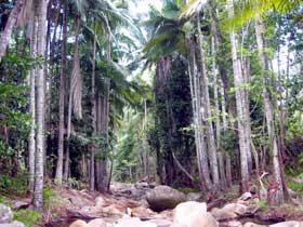 Finch Hatton Gorge Cabins - Tourism Canberra 2