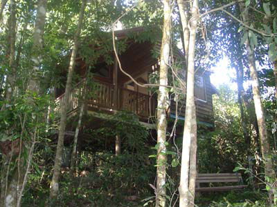 Adjinbilly Rainforest Retreat Cabins - Tourism Canberra 0