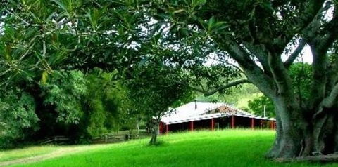 Katandra Mountain Farm House - Tourism Canberra 5