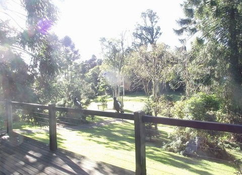 Cedarwood - Holiday Home - Tourism Canberra 0