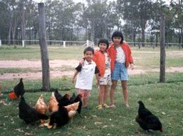 Minmore Farmstay Bed And Breakfast - Tourism Canberra 1