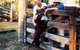 Minmore Farmstay Bed And Breakfast - thumb 2
