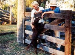 Minmore Farmstay Bed And Breakfast - Tourism Canberra 2