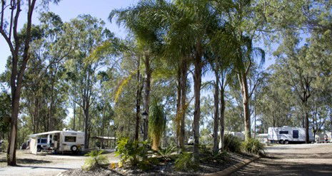 Barambah Bush Caravan Park - Tourism Canberra 1