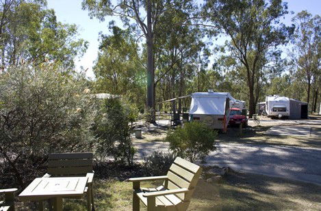 Barambah Bush Caravan Park - Tourism Canberra 3