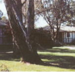 Winbi River Resort - Tourism Canberra