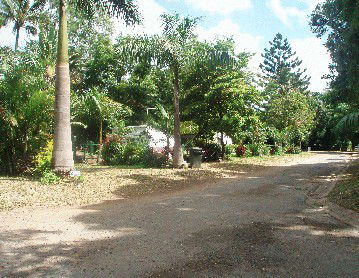 Cape Hillsborough Nature Resort - Tourism Canberra 4