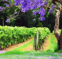 Bago Vineyards - Tourism Canberra