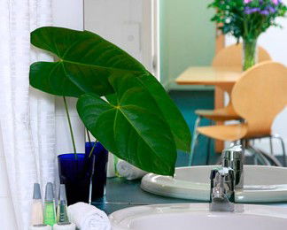 The Point Brisbane - Tourism Canberra 2