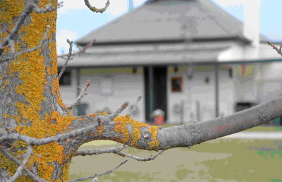 Dunalan Host Farm Cottage - Tourism Canberra 1