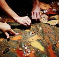 Daintree Eco Lodge And Spa - Tourism Canberra