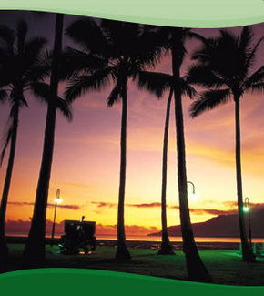 Bay Village Tropical Retreat, Cairns - Tourism Canberra 1