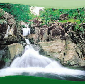Bay Village Tropical Retreat, Cairns - Tourism Canberra 2
