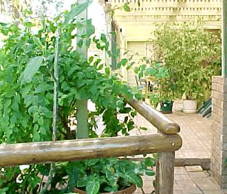 Denham Villas - Tourism Canberra 1