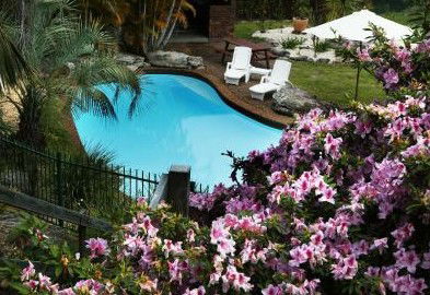 Boambee Palms Bed And Breakfast - Tourism Canberra 1