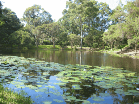Santa Fe Luxury Bed And Breakfast - Tourism Canberra 3