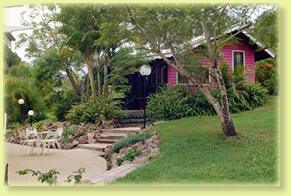 Jacaranda Cottage - Tourism Canberra 2