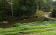 Wattle Gully Retreat - thumb 4