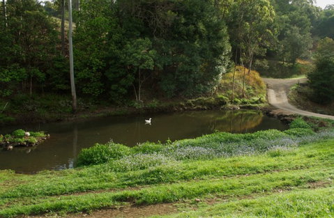 Wattle Gully Retreat - Tourism Canberra 4