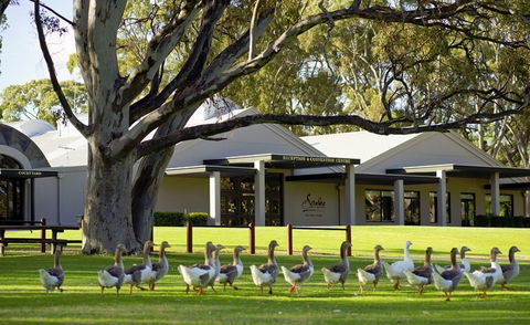 Serafino McLaren Vale - Tourism Canberra 0