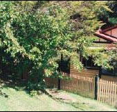 Apple Tree Cottage - Tourism Canberra