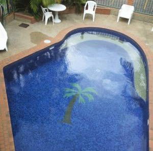 Palms Motel - Tourism Canberra 0