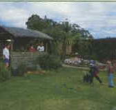 Tambo Lodge - Tourism Canberra