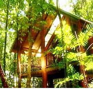 The Canopy Treehouses - Tourism Canberra