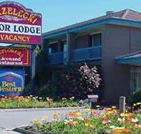 Strzelecki Motor Lodge - Tourism Canberra