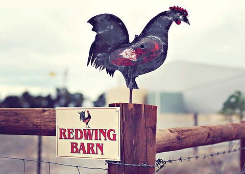 Redwing Farm - The Barn - Tourism Canberra 0