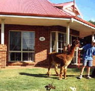 Brilea Cottages - Tourism Canberra